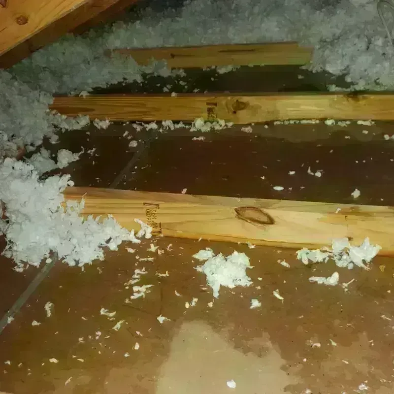 Attic Water Damage in Lea County, NM